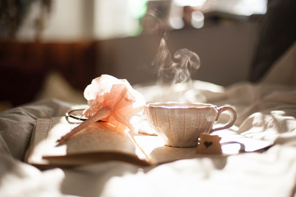 rose and steaming teacup by a book and later afternoon sunshine
